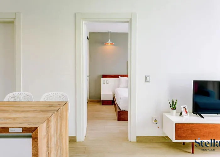 Premium Location Steps To 5th, Rooftop Pool & Bbq Playa del Carmen